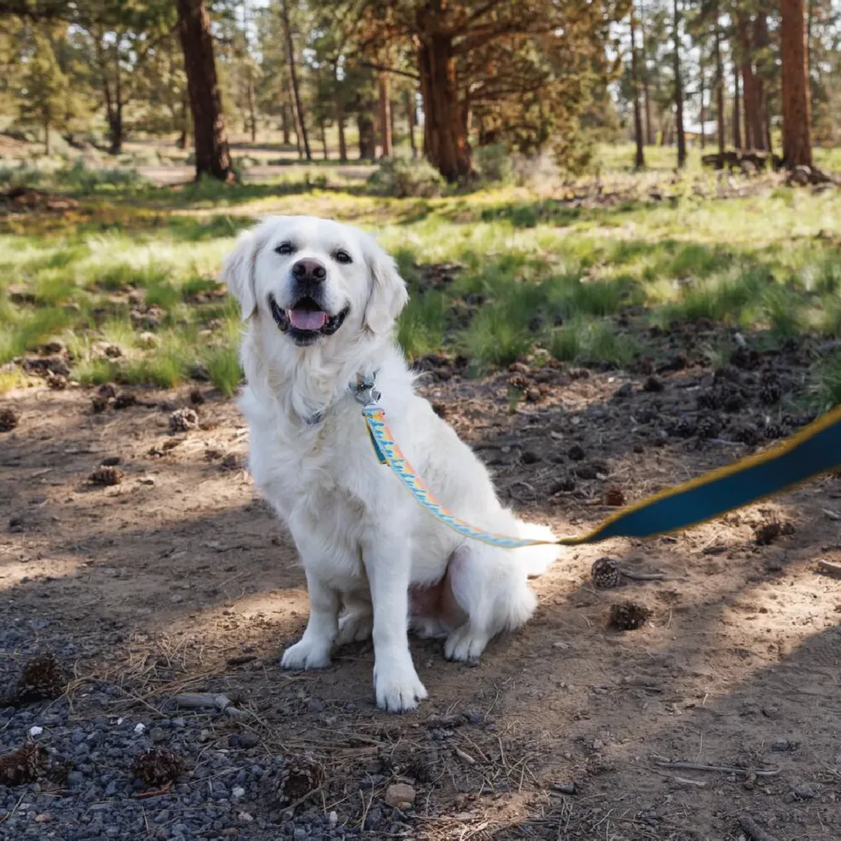 Crag Reflective Dog Leash